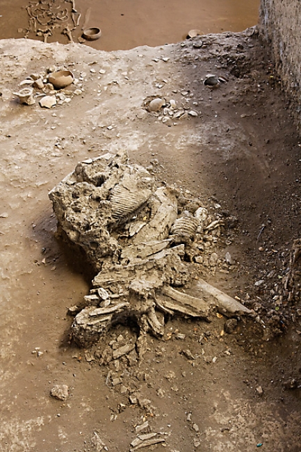 Sithep Excavation-001